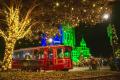 Mint Julep Experiences' Holiday Tours