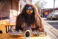 Saxsquatch