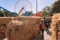 Kentucky Kingdom Theme & Water Park