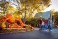 Kentucky Kingdom Theme & Water Park